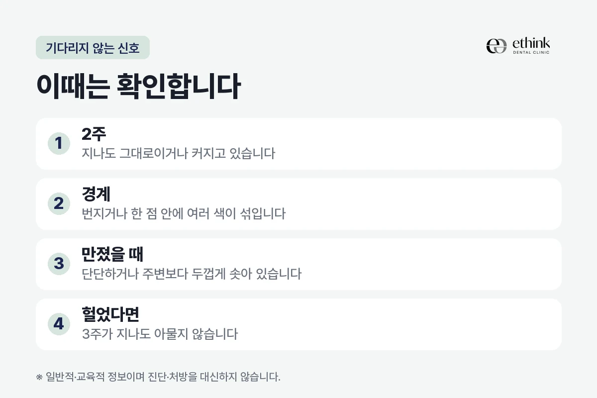 입안 검은 점에서 기다리지 않고 확인하는 신호를 2주·경계·단단함·궤양 네 항목으로 정리한 도해