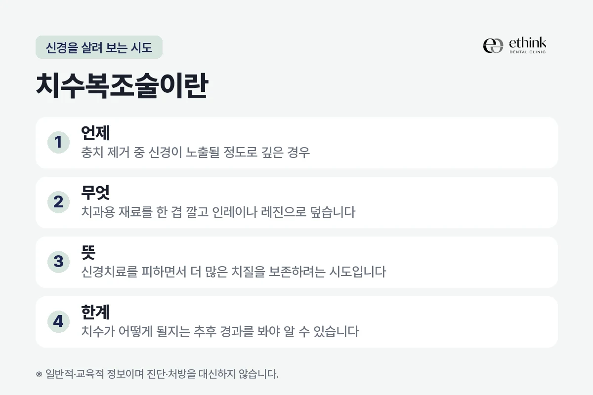 치수복조술이 무엇이고 어떤 한계가 있는지 정리한 도해