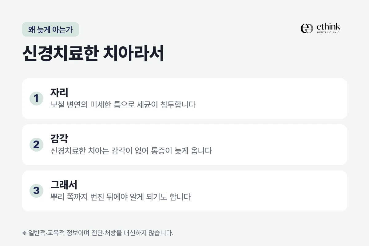 신경치료한 치아의 크라운 아래에서 이차우식이 늦게 발견되는 이유를 정리한 도해