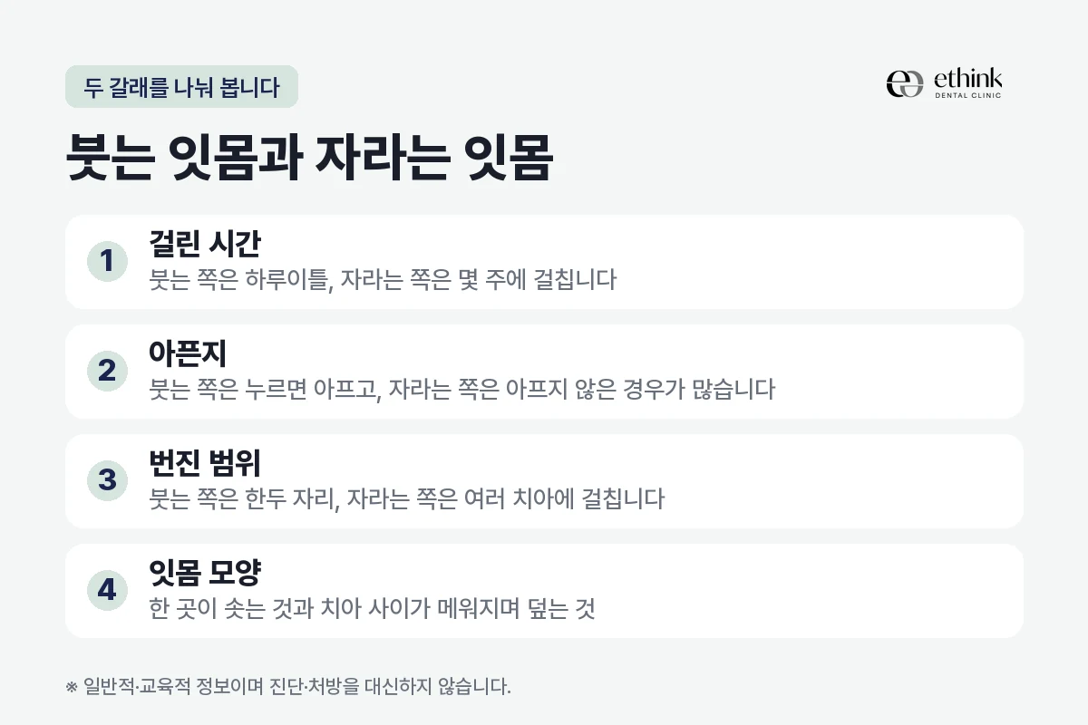 며칠 사이에 붓는 잇몸과 몇 주에 걸쳐 두꺼워지는 잇몸을 걸린 시간·통증·번진 범위로 비교한 도해