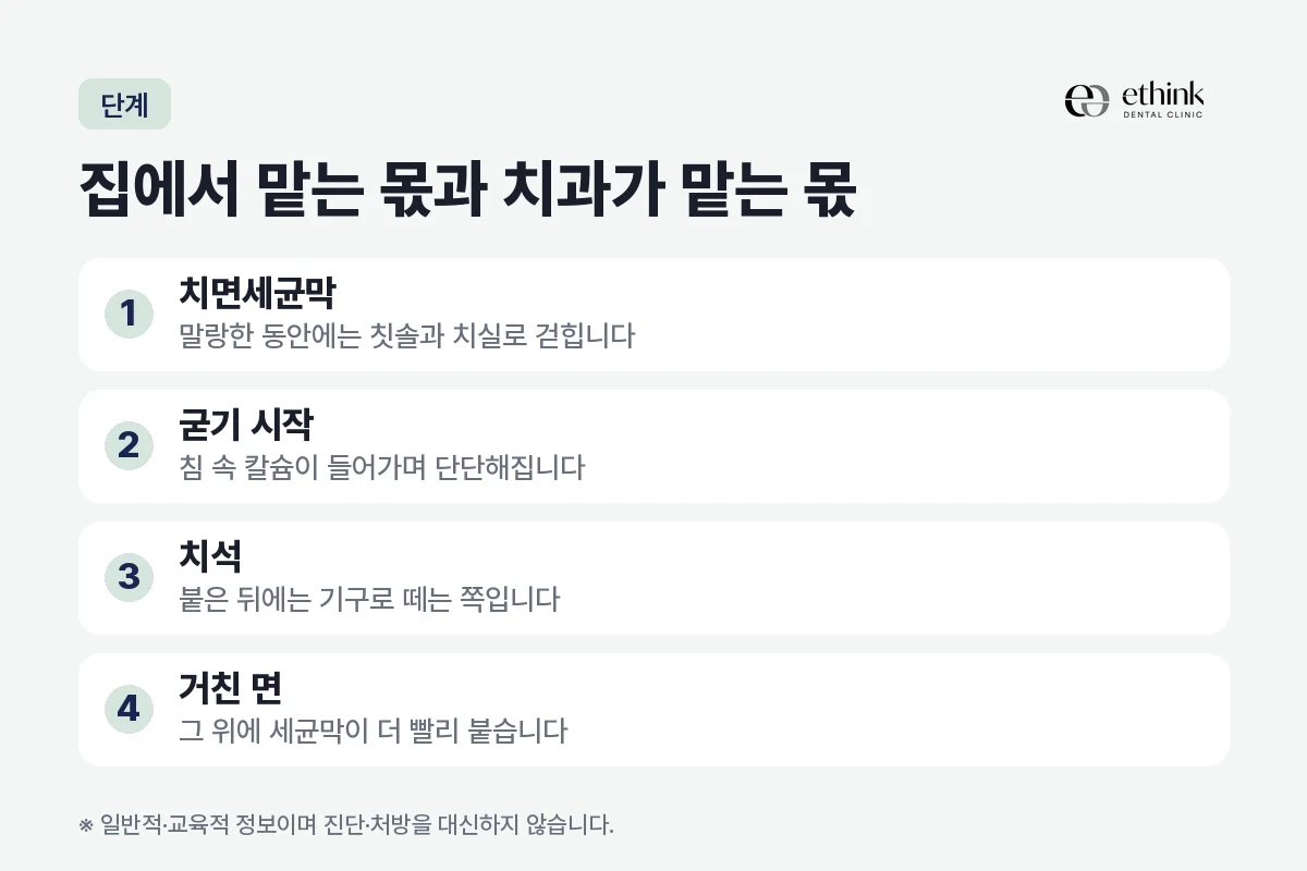 치면세균막이 침 속 칼슘을 흡수해 굳어 치석이 되고 거친 면에 세균막이 다시 붙는 단계를 집에서 맡는 몫과 치과가 맡는 몫으로 나눈 도해