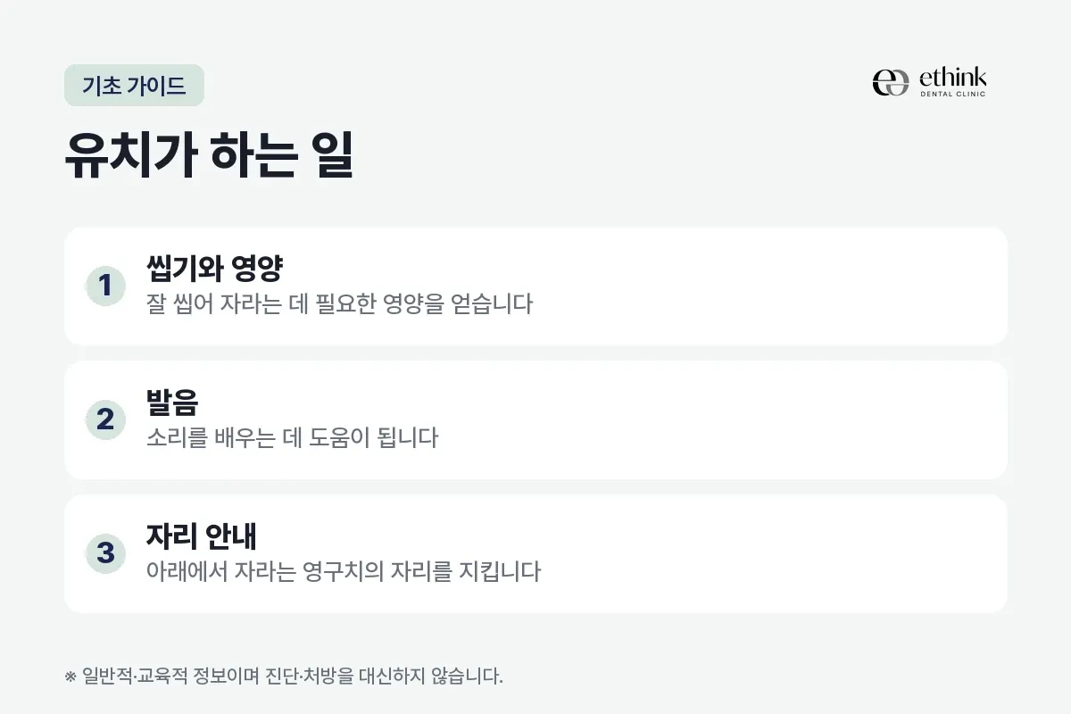 씹기와 영양, 발음, 자리 안내를 세 항목으로 적은 유치의 역할 카드