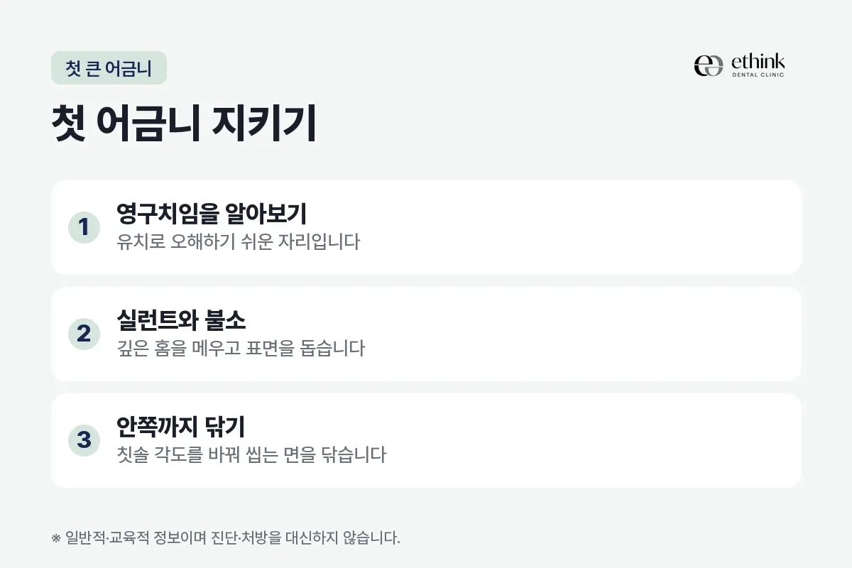 영구치임을 알아보기, 실런트와 불소, 안쪽까지 닦기를 세 항목으로 적은 첫 어금니 카드