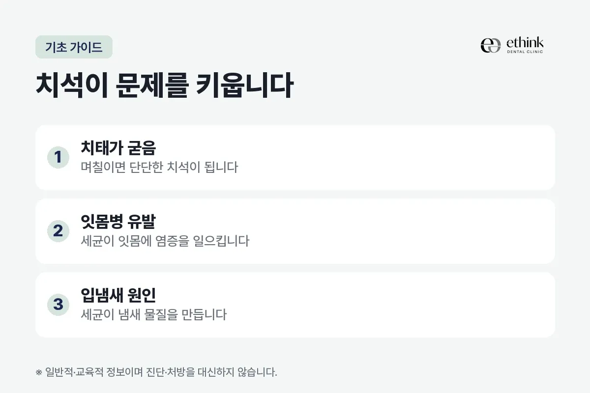 치태가 굳어 치석이 되고 잇몸병과 입냄새로 이어지는 과정을 세 단계로 정리한 카드