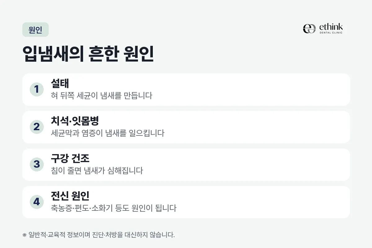 설태, 치석·잇몸병, 구강 건조, 전신 원인을 입냄새의 흔한 원인 네 가지로 정리한 카드