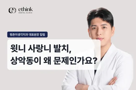 윗니 사랑니 발치, 상악동이 왜 문제인가요?