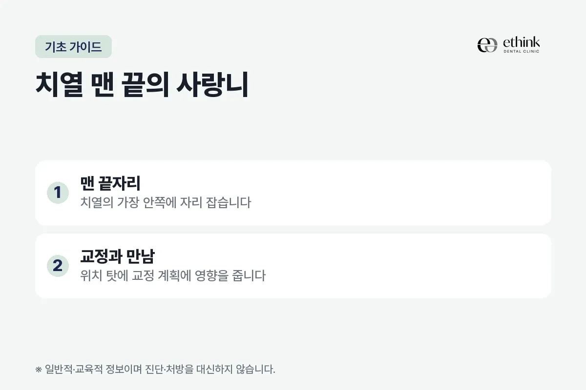 사랑니가 치열 맨 끝에 자리해 교정 계획과 만난다는 두 가지를 정리한 카드